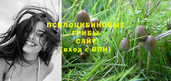 альфа пвп Каменск-Шахтинский