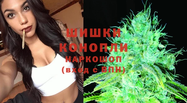 гидропоника Каменногорск