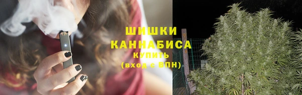 гидропоника Каменногорск