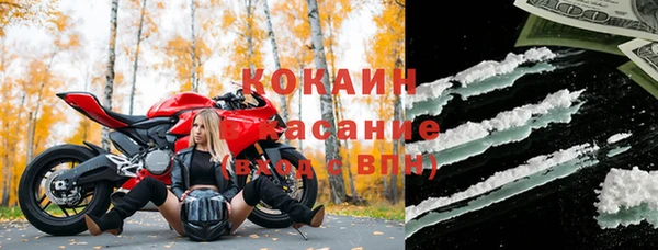 гидропоника Каменногорск