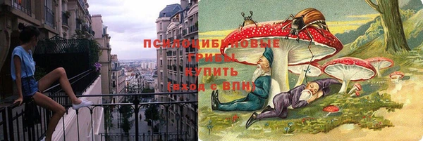скорость mdpv Каменка