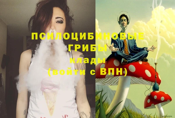 гидропоника Каменногорск