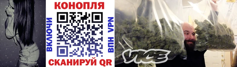 Шишки марихуана сатива  Купить закладки  Тавда 